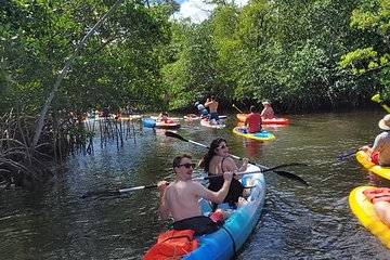 Island City ECO Paddle and Lesson to 9.3 Acre Nature Preserve 