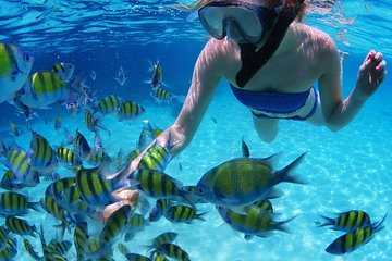 Snorkel in the turquoise Caribbean Sea in Puerto Morelos. Transport included