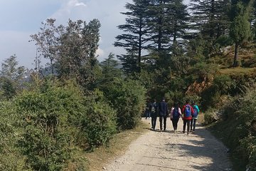 Nature Walk of Mussoorie (2 Hours Guided Walking Tour)