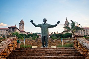 Pretoria and Lion Park Safari Experience