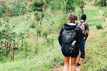 Private Tour of Lake Duluti with Lunch