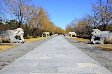 Beijing Private Layover Tour of Ming Tombs, Fragrant Hills and Qianmen Street