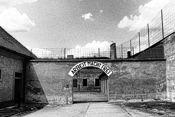 Private luxury tour of Terezin Nazi WWII Camp with Castle & Lunch