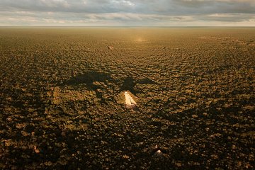 Half-Day Tour to Ancient Coba Ruins and Swim at Mayan Cenote