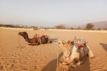 9-Day Private Safari Tour of Rajasthan Sum and Khuri Desert