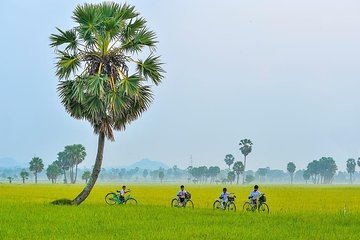 3-day experience Ho Chi Minh (Saigon) & Mekong Delta