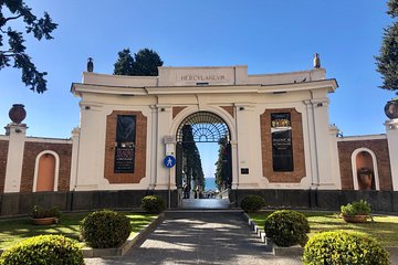 Herculaneum Private Walking Guided Tour 2 hours