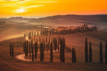 Private Experience Tuscany Tour from Rome 