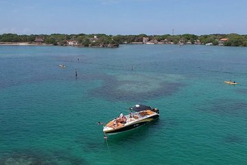 Rosario Islands Private Boat Tour