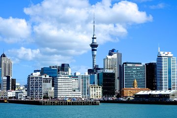 Auckland City & Native Forest Experience - Fully Guided Day Tour