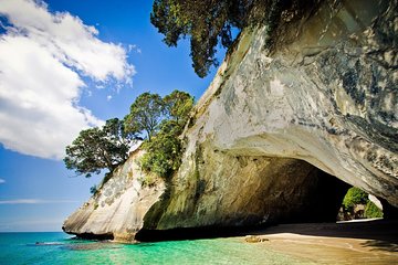 Coromandel Coastal Experience - Small Group Tour from Auckland