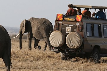 5-Day Amboseli, Tsavo West & Tsavo East Safari
