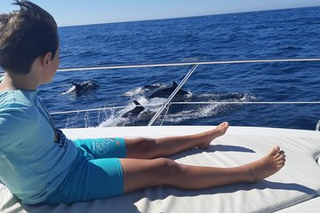 2 Hours Dolphin Watching in Marbella