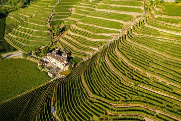 Lake Como & UNESCO Dry-stone Walls Vineyards