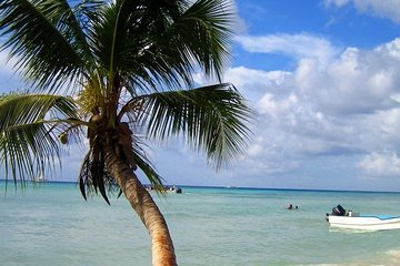 Saona Island by catamaran and speedboat