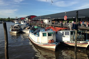 Half-Day Tigre Delta Tour from Buenos Aires with Optional Lunch