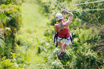 Zipline Canopy Tour & Tortuguero Canal Boat tour. Shore Excursion from Limon