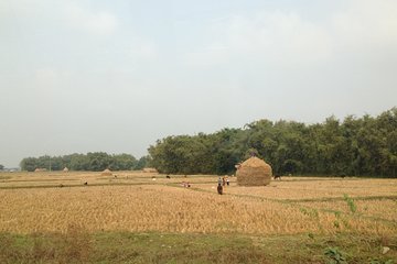 5-Day Private Farming Experience in Nayapul with Accommodation