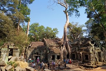 Half Day Private Tour: Tomb Raider & Banteay Kdei Temple