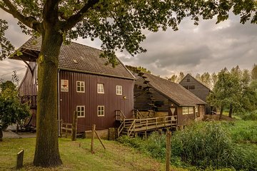 Eindhoven: E-Fatbike Tour In The Footsteps of Vincent van Gogh
