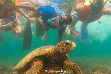 Full Day Guided Tour to Fernando de Noronha Island