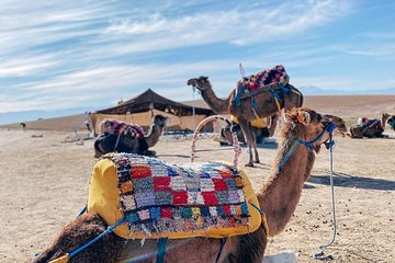 Marrakech: Full-Day Trip Atlas Mountains With Camel Ride