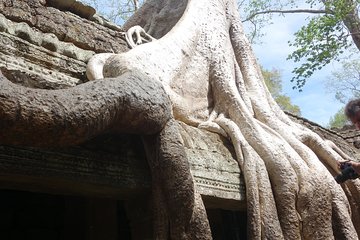 One Private Full Day Guided Tour to Angkor Wat 