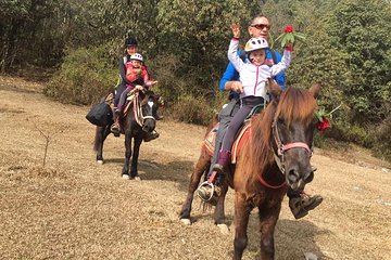 Day Pony Trek From Pokhara