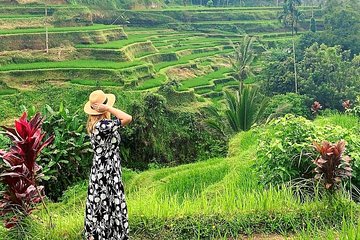 Ubud Tour - Ubud Highlight - Private Tour All inclusive