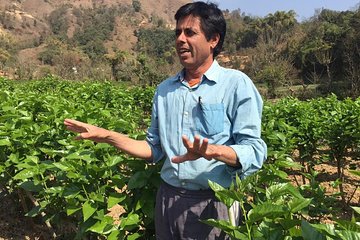 Silkworm Farm (Sericulture) Day Visit With Easy Hiking In Pokhara 