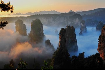 Full-Day Zhangjiajie National Park Private Tour with Lunch