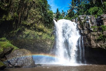 Best Waterfall & Kintamani Tour