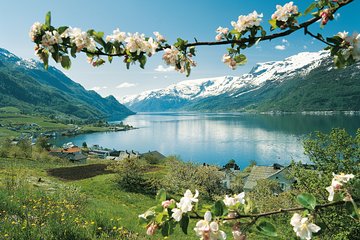 Bergen: Self-Guided Roundtrip (Sognefjord Cruise 5h & Flamsbana)