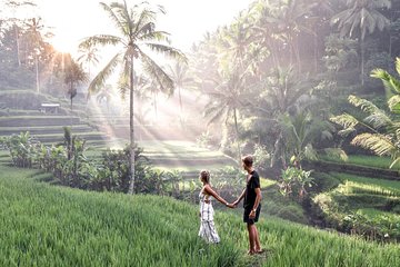 The Highlight of Ubud and Hidden Waterfall - Fullday Day 