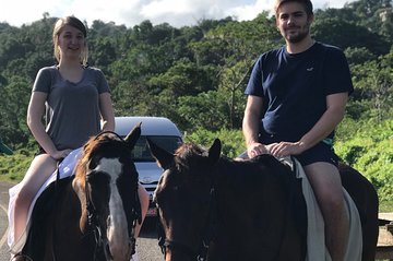 Blue hole waterfalls + horseback riding from Montego bay