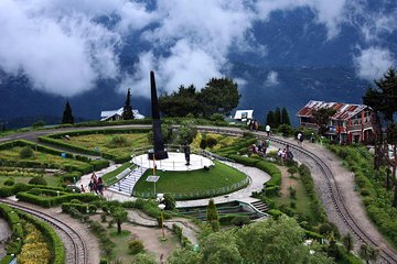 Darjeeling Tea Estate Tour