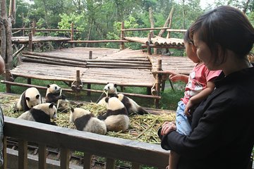 5-Day Private Tour from Zhangjiajie to Chengdu