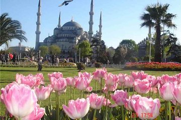 Istanbul Highlights Private Tour