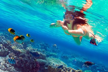 Saona Island VIP and Mano Juan Tour, All Inclusive from Punta Cana