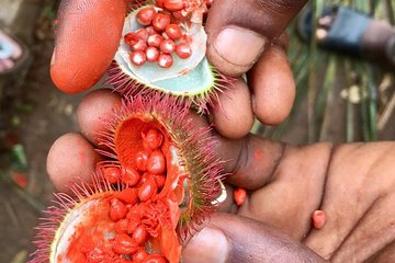 Spice Tour, Blue Lagoon, Starfish Tour, Rock Restaurant, Kuza Cave, Paje Beach