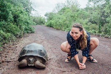 2 Days - Isabela Island Fast Visit