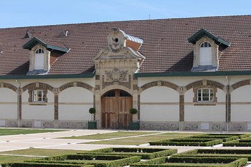 Champagne Ruinart & Grand Cru Blanc de Blancs Vineyard Tour