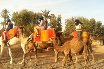 Camel ride in Marrakech