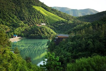 Private Transfer to Mogan Mountian from Hangzhou