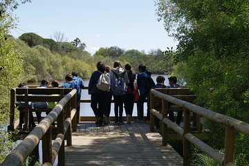 Private Doñana National Park 4x4