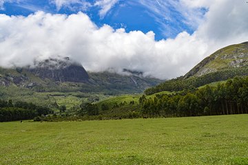 Full-Day Private Tour to Munnar from Kochi with Lunch