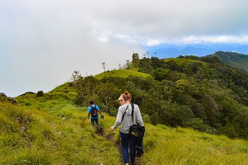 6 Days Tour Visit Munnar Hills, Alleppey Houseboat, Kovalam Beach