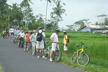 Downhill Bali Countryside Cycling Tour - With Halo Bike Tour