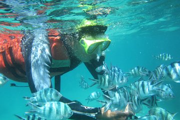 Bali : Snorkeling Tour at Blue Lagoon Padangbai 