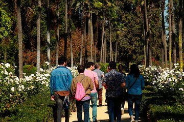 Visit to the Undurraga viña tour Sibaris in small groups